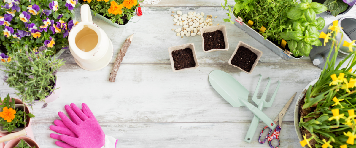 Gardening Kits: Essential Tools for Every Green Thumb