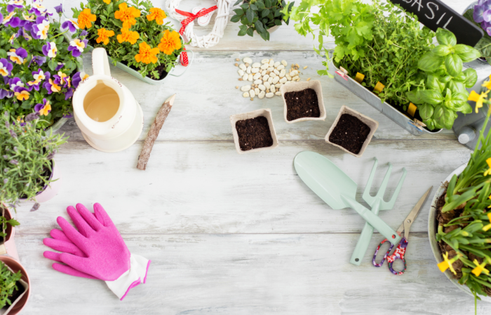 Gardening Kits: Essential Tools for Every Green Thumb