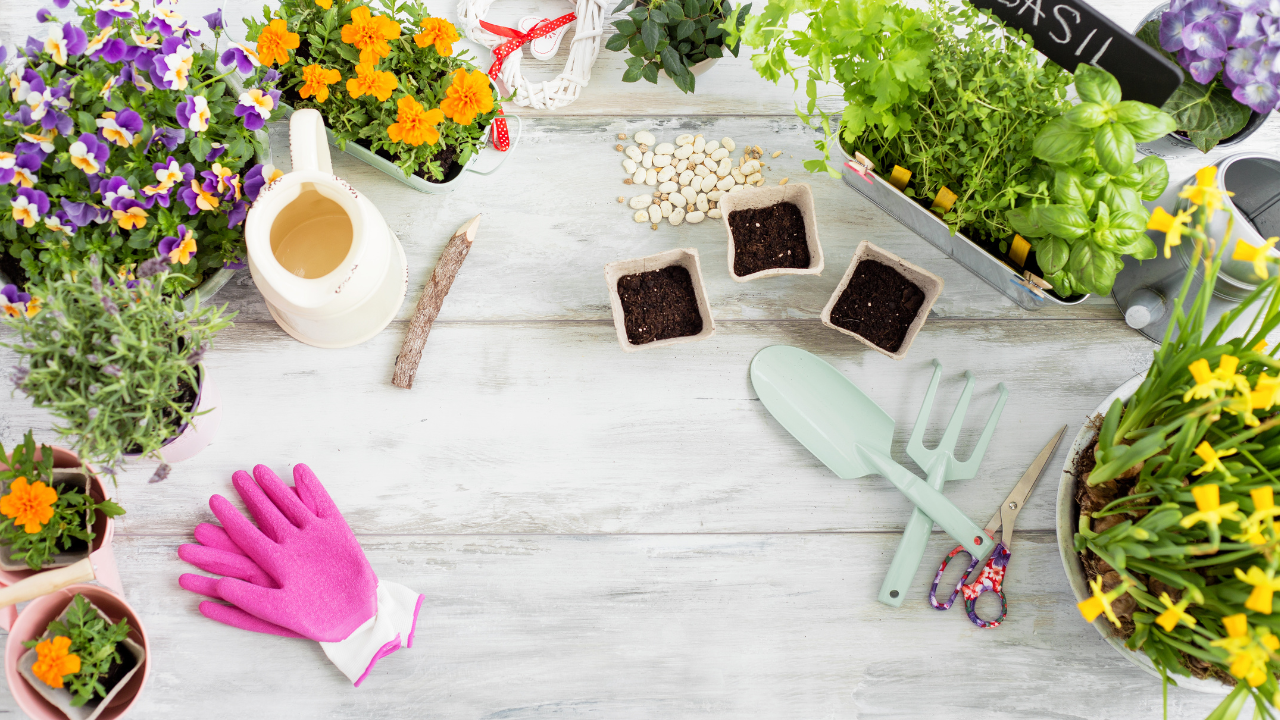 Gardening Kits: Essential Tools for Every Green Thumb - eCommercefun