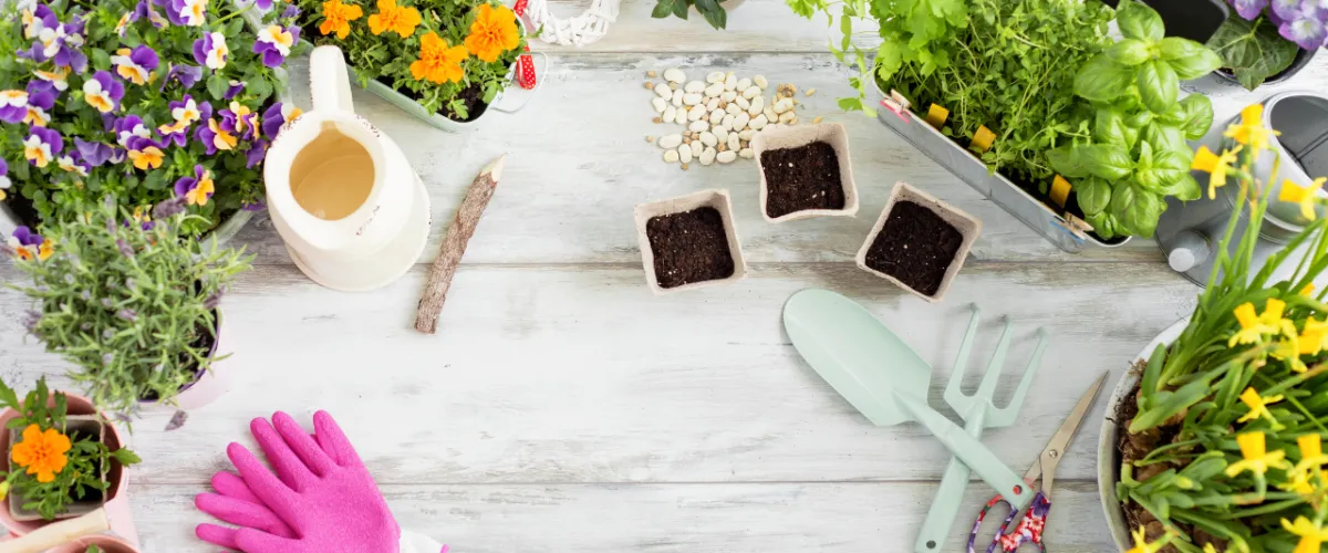 Best Indoor Gardening Kits: Grow Fresh Greens Year-Round