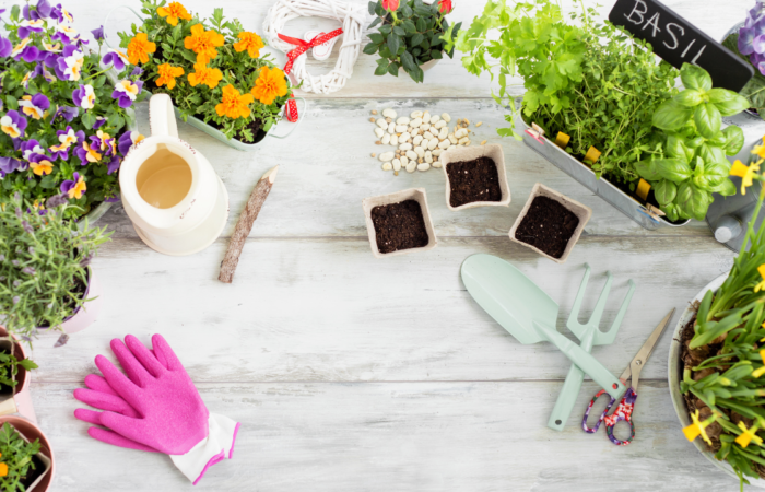 Best Indoor Gardening Kits: Grow Fresh Greens Year-Round