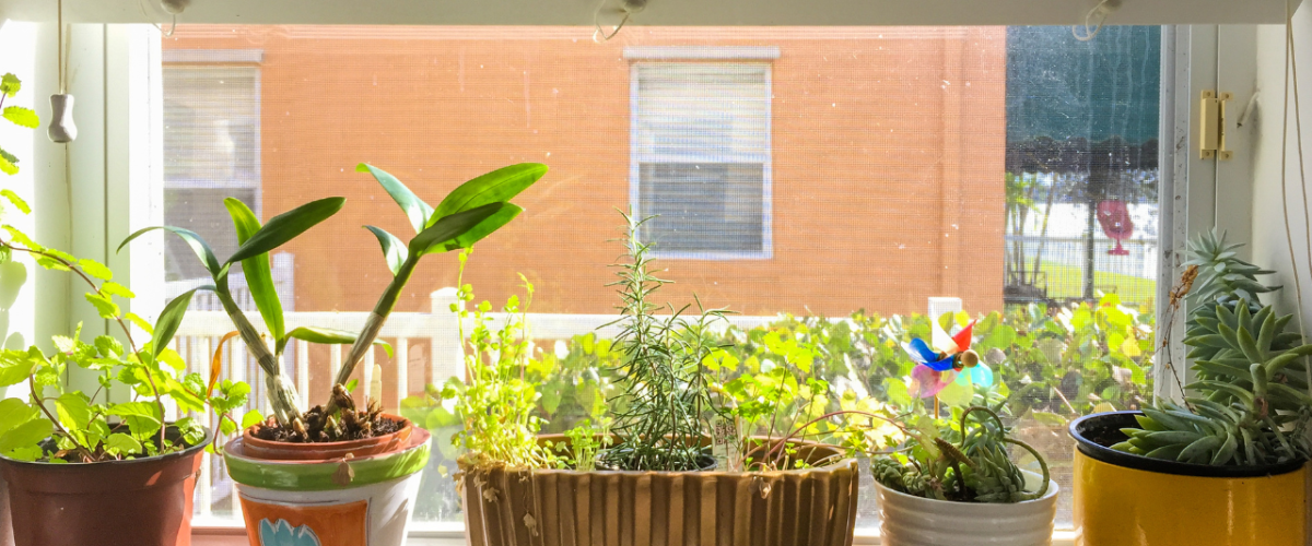 Indoor Herb Gardens