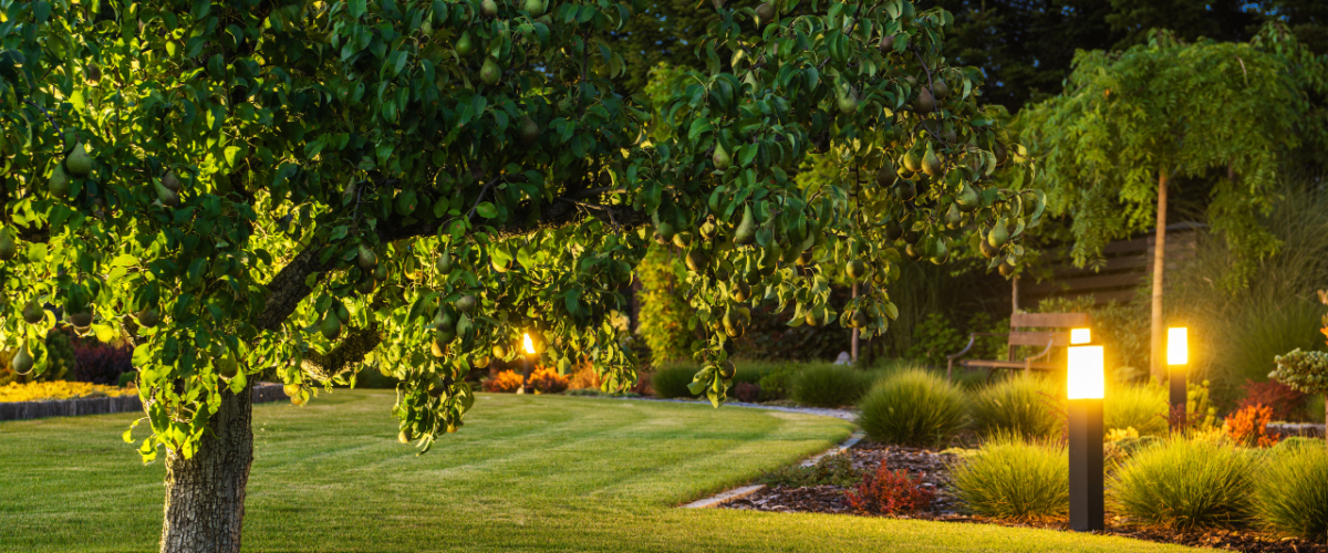 Smart Landscape Lighting: Enhancing Outdoor Aesthetics and Security