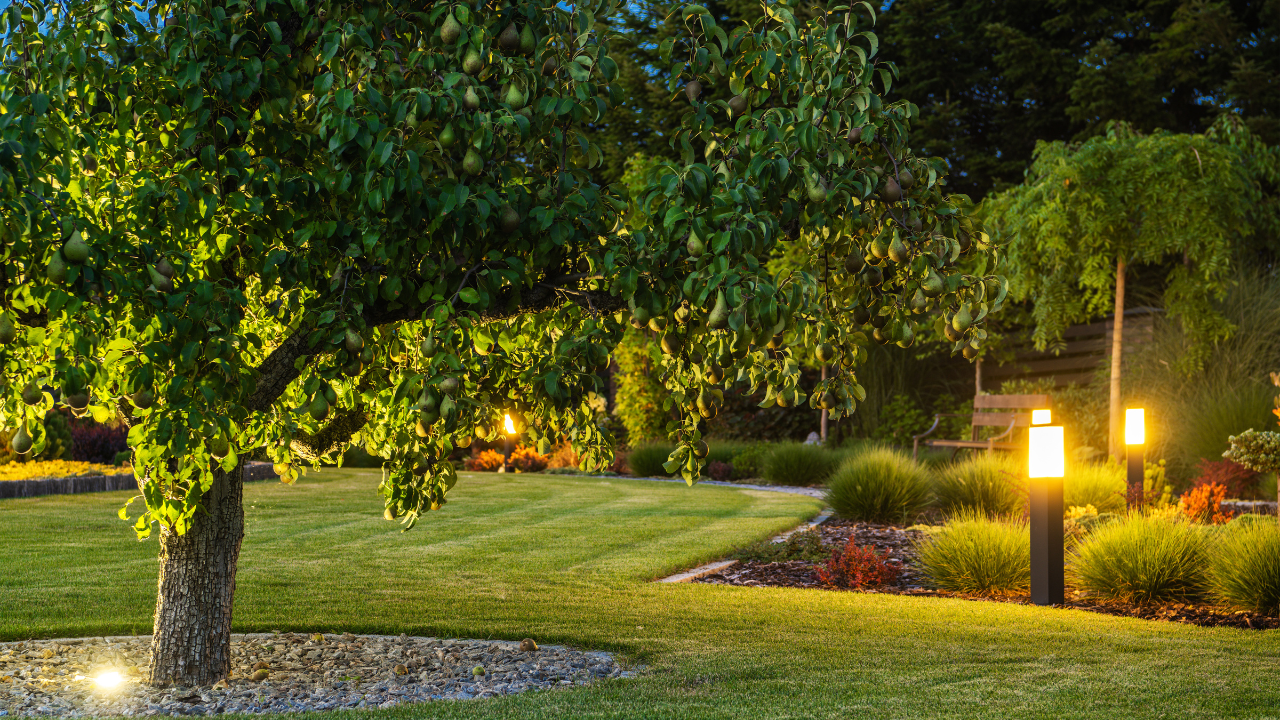 Smart Landscape Lighting: Enhancing Outdoor Aesthetics and Security