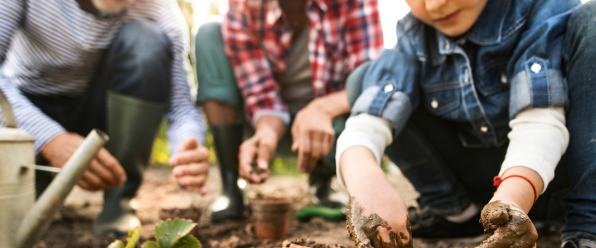 Gardening & Botanical Kits