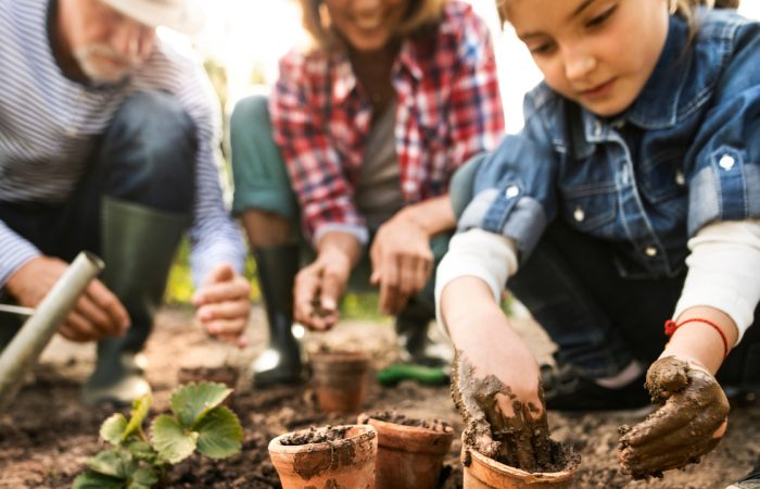 The Best Gardening & Botanical Kits for Eco-Friendly Enthusiasts