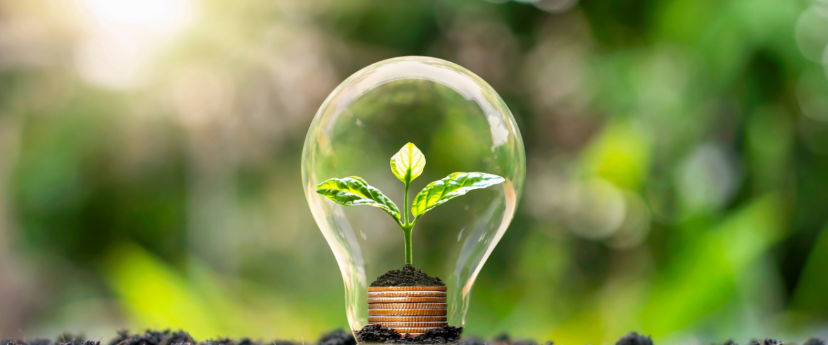 Energy Saving Bulbs: Cutting Costs and Carbon Emissions