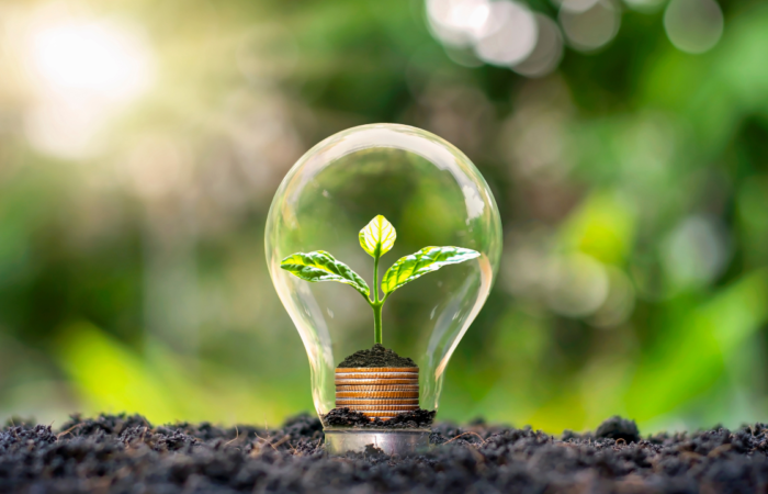 Energy Saving Bulbs: Cutting Costs and Carbon Emissions