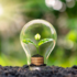 Energy Saving Bulbs: Cutting Costs and Carbon Emissions