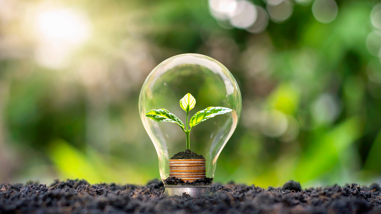 Energy Saving Bulbs: Cutting Costs and Carbon Emissions