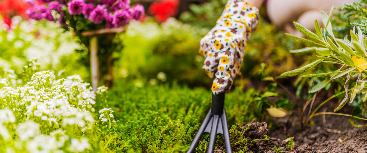 Organic Gardening Supplies: Essential Tools for Natural Cultivation