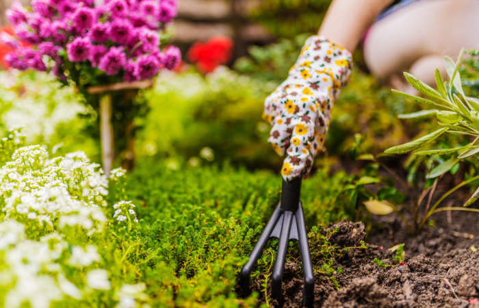 Organic Gardening Supplies: Essential Tools for Natural Cultivation