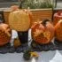 Halloween Pumpkin Ideas: Creative Designs for a Spooky Night