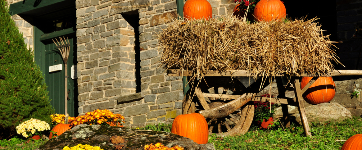 Halloween Yard Displays