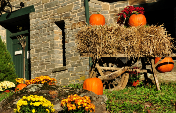 Halloween Yard Displays: Top Trends for Spooky Season 2024