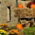 Halloween Yard Displays: Top Trends for Spooky Season 2024