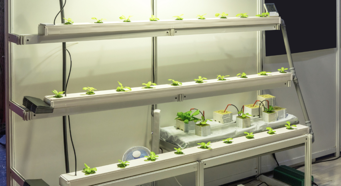 Hydroponic Systems with LED Lights